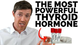 6 Causes of Low T3 Every Thyroid Patient Should Be Aware Of