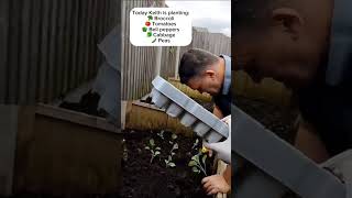 Keith planting veggies with his support team