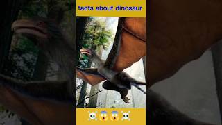 Top Interesting Facts about Dinosaurs in Hindi/Urdu 😳😨 | Amazing Facts | #shorts #facts #randomfacts
