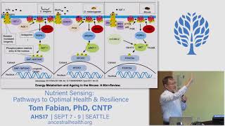 AHS17 Nutrient Sensing: Pathways to Optimal Health \u0026 Resilience - Tom Fabian