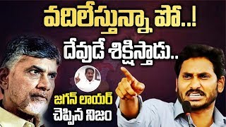 జగన్ పెట్టిన భిక్షే ఈరోజు చంద్రబాబు బయట ఉన్నాడు | YS Jagan Lawyer Reveal YS Jagan Greatness | Twaves