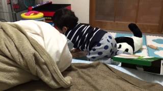 何気ない日常ω パパとお留守番 1歳0ヶ月の赤ちゃん A Moment of Usual with Baby ベビちゃんねる 赤ちゃん成長記録動画 もっちゃん動画