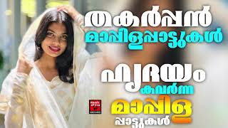 ഹൃദയം കവർന്ന മാപ്പിളപ്പാട്ടുകൾ | Mappila Cover Songs | Mappila Pattukal Cover songs| Mappilapattukal