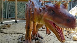 Motorcycle roadtrip - Sataplia dinosaur footprints - Episode 5