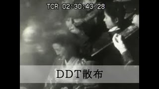 「発疹チフス退治にDDT散布」No.CFNH(G)-0008_6