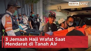 3 Jemaah Haji Wafat Saat Mendarat di Tanah Air | Beritasatu