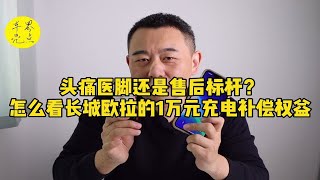 头痛医脚还是售后标杆？怎么看长城欧拉的1万元充电补偿权益