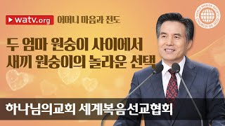 [하나님의교회 설교] 어머니 마음과 전도