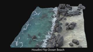 Houdini Flip Ocean Bach RnD