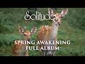 1 hour of Relaxing Music: Dan Gibson’s Solitudes - Spring Awakening (Full Album)