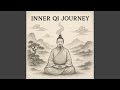 Qi Embodiment