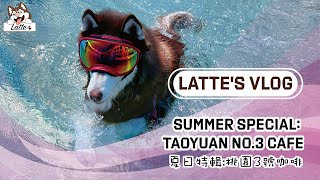 【Latte's Vlog EP3】Summer Special:Taoyuan No.3 CAFE 夏日特輯:桃園3號咖啡 #lattehusky