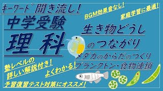 【中学受験理科】キーワード聞き流しで覚える（生き物どうしのつながり[メダカのつくり,プランクトン,食物連鎖]）解説付き！