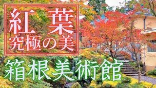 究極の美しさ！箱根の紅葉：強羅・箱根美術館の日本庭園「神仙郷」の紅葉。関東一の庭園。錦秋の紅葉！Amazing autumn leaves in Hakone museum, Japan