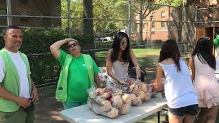 ZEFR Volunteering at City Harvest Stapleton Market, Staten Island, NY - August 1, 2017