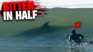 This Surfer Gets Bitten in Half by BIGGEST Shark Ever Recorded!