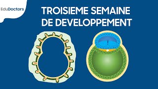 Troisième semaine de développement - Embryologie générale