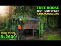 TREE HOUSE STAY CHIKMAGALURU - CASTLE ADVENTURE STAY - BEST HOMESTAY in CHIKMAGALURU - I AM NOT FREE