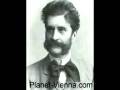 Johann Strauss II. - Annen-Polka, op. 117