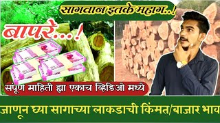 सागवान शेती माहिती|सगवानाच्या लाकडाची किंमत मार्केट मध्ये किती|teakwood price inmarket#aggriculture