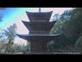 8k hdr 徳島 鶴林寺 四国遍路20番札所 tokushima kakurinji shikoku88 pilgrimage no.20