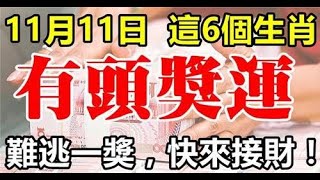 11月11日這六個生肖難逃一獎，最有頭獎運，都收入頗豐，聚財能力數一數二，勢必會富得流油，鈔票怎麼都花不完。