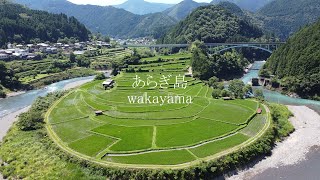 [wakayama あらぎ島] 2024 和歌山県有田川町／清水　あらぎ島　ドローン