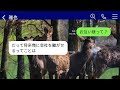 【line】社長だった父が急逝した。葬儀に来た姑は悲しむ私を無視して、万歳三唱で「これで息子が社長ね！」と大喜び。非常識な義母に本気で制裁を加えた結果www