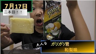 〔商品紹介〕大人なガリガリ君　和梨味