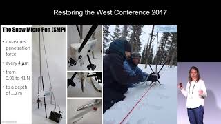 Does Bark Beetle Disturbance Alter Forests' Protective Effects Against Snow Avalanches? (RTW 2017)