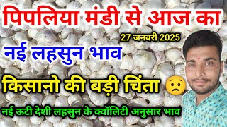 नई ऊटी ओर देशी लहसुन भाव आज का पिपलिया मंडी today new garlic rate Pipliya Mandi