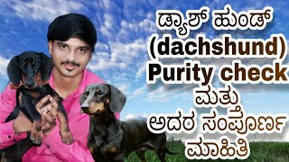 Duchshund dog breed purity check, facts and information in kannada|ಡ್ಯಾಷ್‌ಹಂಡ್ ಬಗ್ಗೆ ಸಂಪೂರ್ಣ ಮಾಹಿತಿ