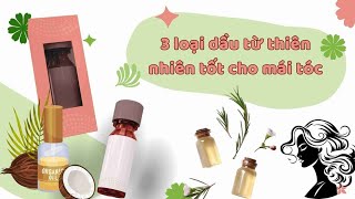 3 loại dầu từ thiên nhiên tốt cho mái tóc | Báo Lao Động