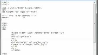 HTML Tutorial 14 - Comments