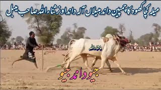 میلہ کچا کھوہ کا چمپین داند مبیلاں آلہ داند اونر ثناءاللہ صاحب میبل ماشاءاللہ Bull race pakistan