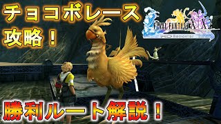 【FF10HD】レア報酬を獲得せよ！チョコボレース完全攻略！