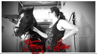 How to fit a halter