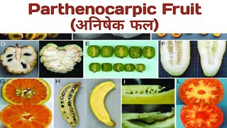 Parthenocarpic Fruit (अनिषेक फल) #plants #seedless #withoutfertilization #artificial #hormones