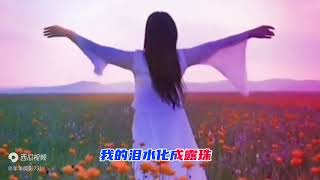 草原歌曲欣赏《思乡》呼斯楞