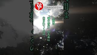 【斎藤一人】毎日生きていることが魂の修行　無駄なことは何もない #斎藤ひとりさん　#まるかんのお店　#波動