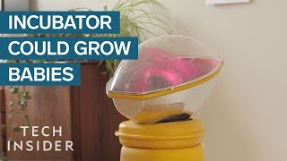 Concept Incubator Would Grow Your Babies At Home