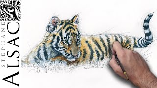 Playtube Pk Ultimate Video Sharing Website