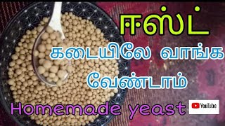 Hommemade instant yeast in tamil for pizza,wine,naan/ ஈஸ்ட் வீட்டிலேயே தயார் செய்யலாம்