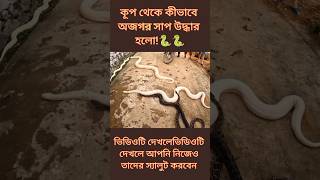 কূপ থেকে কীভাবে অজগর সাপ উদ্ধার হলো #সাপ #cobra #snake #python #Anaconda #অ্যানাকন্ডা  #অজগর #পাইথন