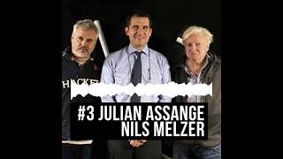 Teaser for podcast Cyril \u0026 Stig, guest law professor Nils Melzer, discuss the Julian Assange case