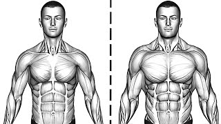How To Get A Massive Chest With Only Push Ups