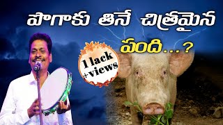 పొగాకు తినే చిత్రమైన పంది కారణం ఏమిటి...? | Sailanna Songs | Sailanna telugu christian songs