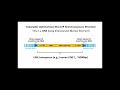 251 LINEs (Long Interspersed Nuclear Elements): LTR Retrotransposons