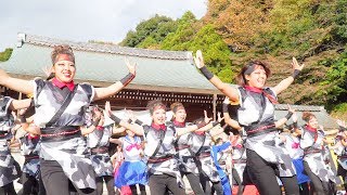 [4K]愛知淑徳大学よさこい探究会「鳴踊」　龍馬よさこい 2017 1日目 龍馬演舞場(中央)