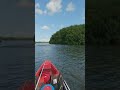 dolphin barely avoids a kayaker shorts shortsvideo dolphin attack kayak fishing viral fyp